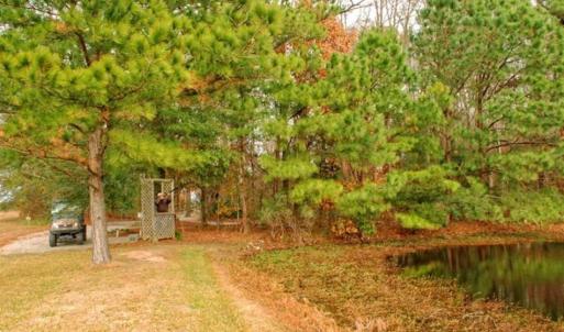 Photo of SOLD!!  21.1 Acres Recreational Land with Home For Sale in Pamlico County NC!