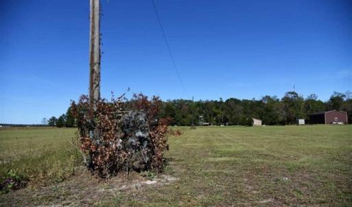 Photo of SOLD!!  21.1 Acres Recreational Land with Home For Sale in Pamlico County NC!