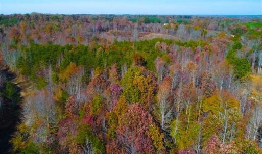 Photo of SOLD!!  10.8 Acres of Timber and Hunting Land For Sale in Caswell County NC!