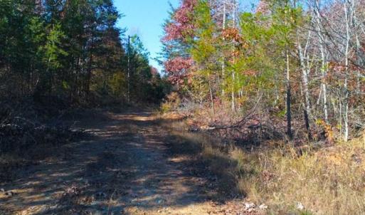 Photo of SOLD!!  10.8 Acres of Timber and Hunting Land For Sale in Caswell County NC!