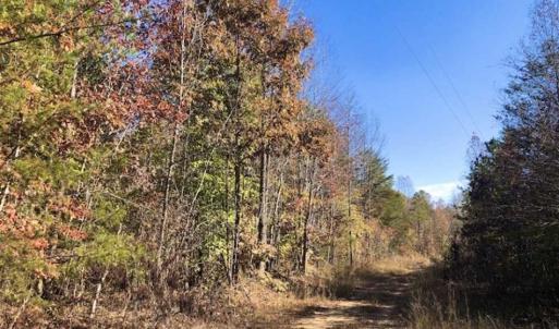 Photo of SOLD!!  10.8 Acres of Timber and Hunting Land For Sale in Caswell County NC!