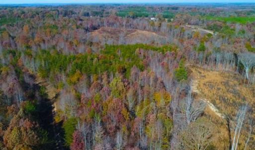 Photo of SOLD!!  10.8 Acres of Timber and Hunting Land For Sale in Caswell County NC!