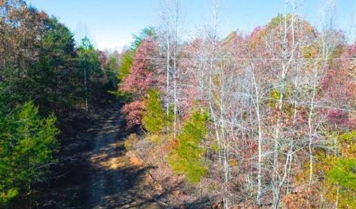 Photo of SOLD!!  10.8 Acres of Timber and Hunting Land For Sale in Caswell County NC!