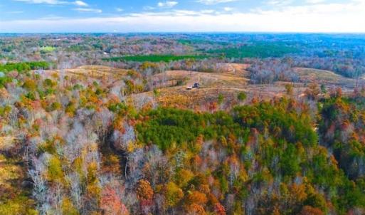 Photo of SOLD!!  10.8 Acres of Timber and Hunting Land For Sale in Caswell County NC!
