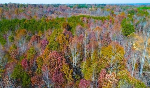 Photo of SOLD!!  10.8 Acres of Timber and Hunting Land For Sale in Caswell County NC!