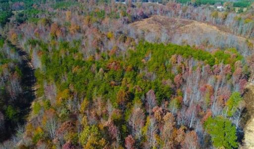Photo of SOLD!!  10.8 Acres of Timber and Hunting Land For Sale in Caswell County NC!