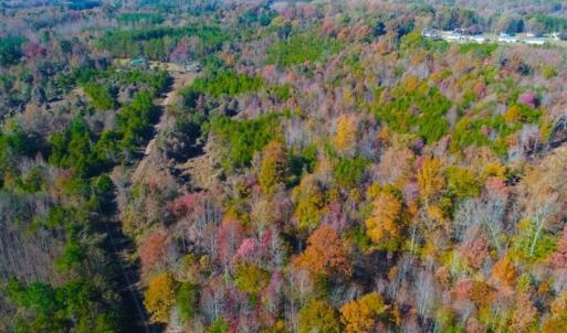 Photo of SOLD!!  10.8 Acres of Timber and Hunting Land For Sale in Caswell County NC!