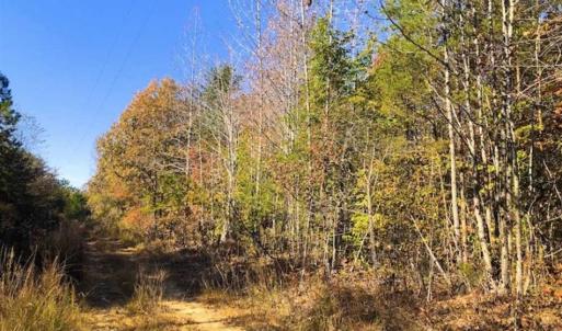 Photo of SOLD!!  10.8 Acres of Timber and Hunting Land For Sale in Caswell County NC!