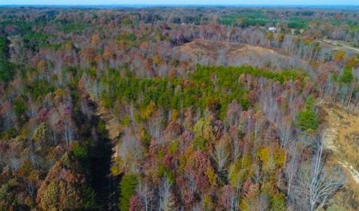 Photo of SOLD!!  10.8 Acres of Timber and Hunting Land For Sale in Caswell County NC!