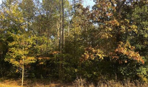 Photo of SOLD!! 1.55 Acre Residential Lot For Sale in Johnston County NC!