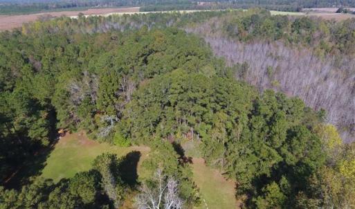 Photo of SOLD!!  59.27 Acres of Farm and Development Land for Sale in Columbus County NC!