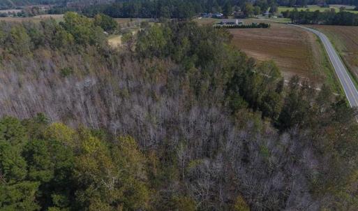 Photo of SOLD!!  59.27 Acres of Farm and Development Land for Sale in Columbus County NC!