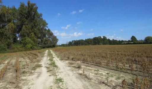 Photo of SOLD!!  59.27 Acres of Farm and Development Land for Sale in Columbus County NC!