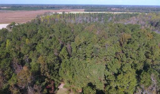 Photo of SOLD!!  59.27 Acres of Farm and Development Land for Sale in Columbus County NC!