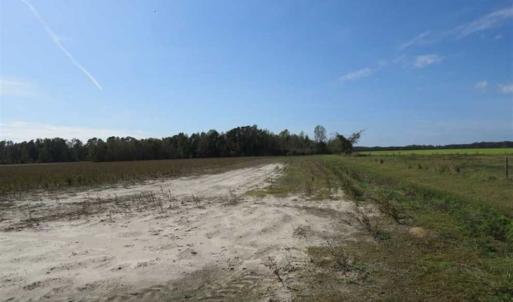 Photo of SOLD!!  59.27 Acres of Farm and Development Land for Sale in Columbus County NC!