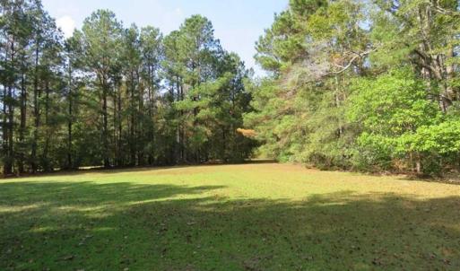 Photo of SOLD!!  59.27 Acres of Farm and Development Land for Sale in Columbus County NC!