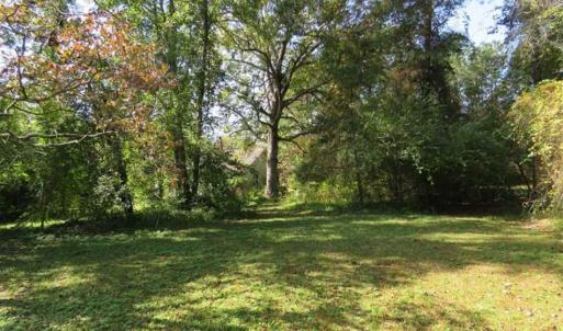 Photo of SOLD!!  59.27 Acres of Farm and Development Land for Sale in Columbus County NC!