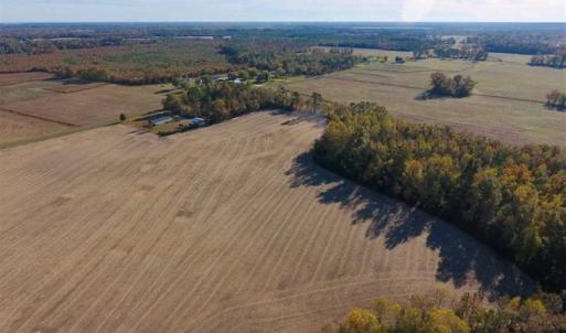 Photo of SOLD!!  23.81 Acres of Farm Land For Sale in Craven County NC!