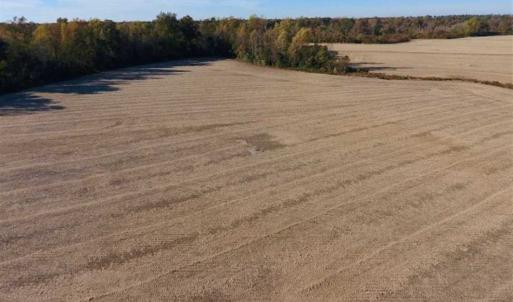 Photo of SOLD!!  23.81 Acres of Farm Land For Sale in Craven County NC!