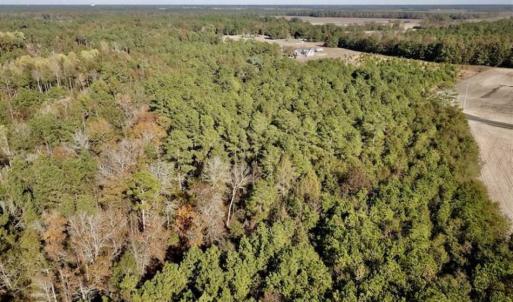 Photo of SOLD!!  17.17 Acres of Residential and Hunting Land for Sale in Scotland County NC!