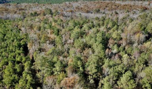 Photo of SOLD!!  17.17 Acres of Residential and Hunting Land for Sale in Scotland County NC!