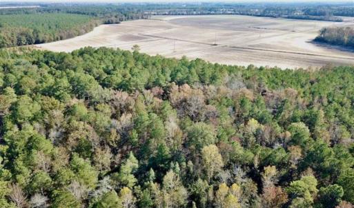 Photo of SOLD!!  17.17 Acres of Residential and Hunting Land for Sale in Scotland County NC!