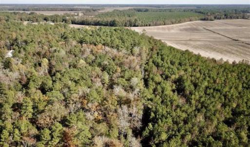 Photo of SOLD!!  17.17 Acres of Residential and Hunting Land for Sale in Scotland County NC!