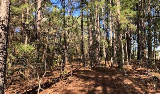 Photo of SOLD!!  17.17 Acres of Residential and Hunting Land for Sale in Scotland County NC!