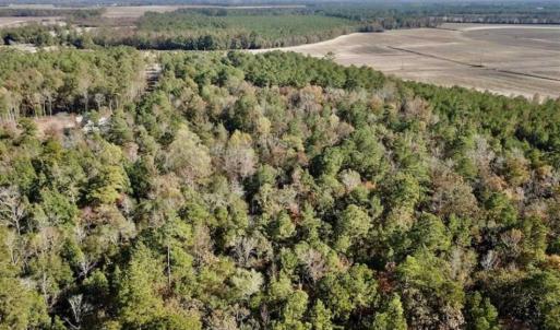 Photo of SOLD!!  17.17 Acres of Residential and Hunting Land for Sale in Scotland County NC!
