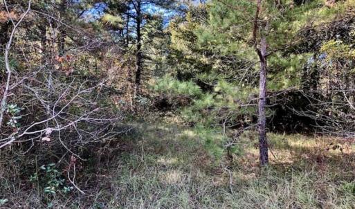 Photo of SOLD!!  17.17 Acres of Residential and Hunting Land for Sale in Scotland County NC!