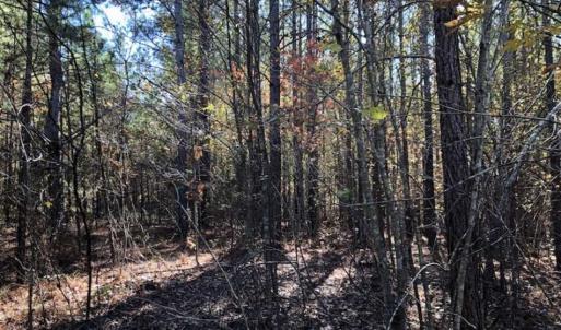 Photo of SOLD!!  17.17 Acres of Residential and Hunting Land for Sale in Scotland County NC!
