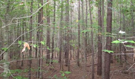 Photo of SOLD!!  17.24 Acres of Recreational and Residential Land For Sale in Pittsylvania County VA!