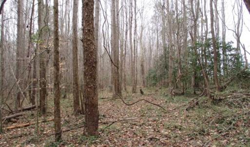 Photo of SOLD!!  17.24 Acres of Recreational and Residential Land For Sale in Pittsylvania County VA!