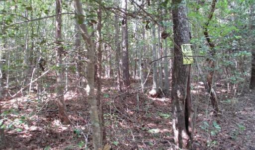Photo of SOLD!!  17.24 Acres of Recreational and Residential Land For Sale in Pittsylvania County VA!