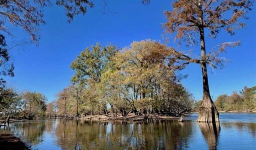 Photo of SOLD!!  271.34 Ac of Neuse Riverfront Farm & Timber Land For Sale in Craven Co NC!