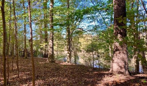 Photo of SOLD!!  271.34 Ac of Neuse Riverfront Farm & Timber Land For Sale in Craven Co NC!