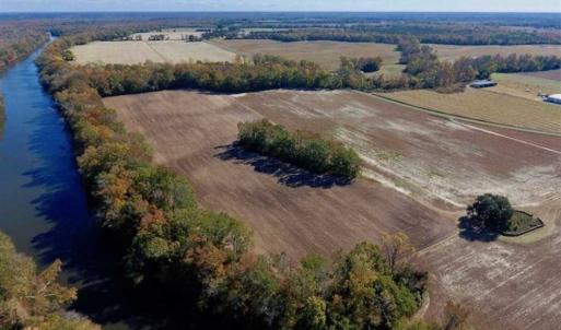 Photo of SOLD!!  271.34 Ac of Neuse Riverfront Farm & Timber Land For Sale in Craven Co NC!