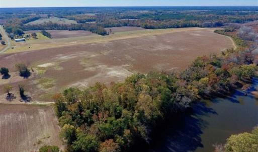 Photo of SOLD!!  271.34 Ac of Neuse Riverfront Farm & Timber Land For Sale in Craven Co NC!
