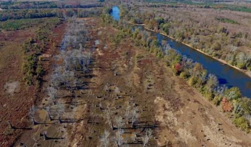 Photo of SOLD!!  271.34 Ac of Neuse Riverfront Farm & Timber Land For Sale in Craven Co NC!