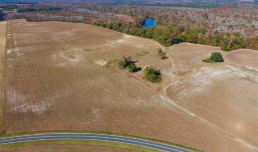 Photo of SOLD!!  271.34 Ac of Neuse Riverfront Farm & Timber Land For Sale in Craven Co NC!