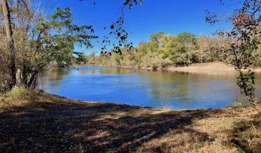Photo of SOLD!!  271.34 Ac of Neuse Riverfront Farm & Timber Land For Sale in Craven Co NC!