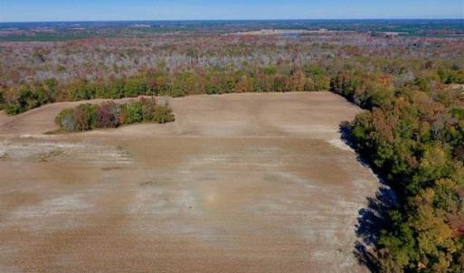 Photo of SOLD!!  271.34 Ac of Neuse Riverfront Farm & Timber Land For Sale in Craven Co NC!