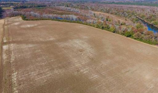 Photo of SOLD!!  271.34 Ac of Neuse Riverfront Farm & Timber Land For Sale in Craven Co NC!