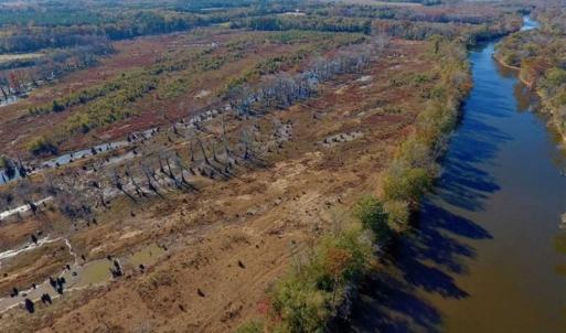 Photo of SOLD!!  271.34 Ac of Neuse Riverfront Farm & Timber Land For Sale in Craven Co NC!