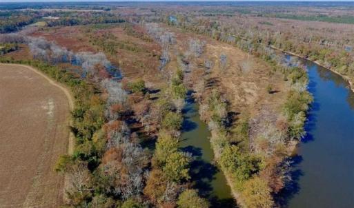 Photo of SOLD!!  271.34 Ac of Neuse Riverfront Farm & Timber Land For Sale in Craven Co NC!