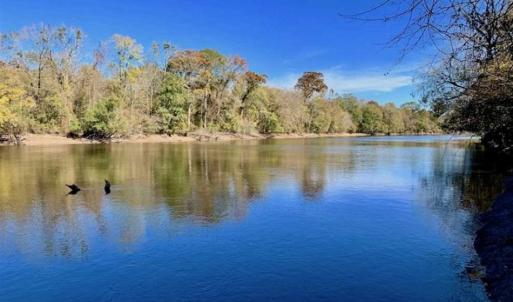 Photo of SOLD!!  271.34 Ac of Neuse Riverfront Farm & Timber Land For Sale in Craven Co NC!