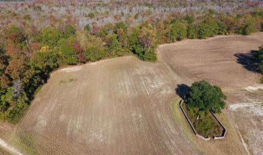 Photo of SOLD!!  271.34 Ac of Neuse Riverfront Farm & Timber Land For Sale in Craven Co NC!
