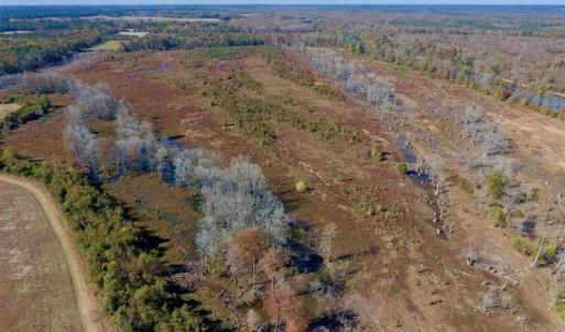 Photo of SOLD!!  271.34 Ac of Neuse Riverfront Farm & Timber Land For Sale in Craven Co NC!