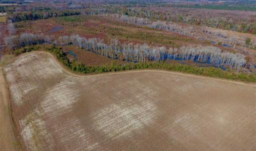 Photo of SOLD!!  271.34 Ac of Neuse Riverfront Farm & Timber Land For Sale in Craven Co NC!