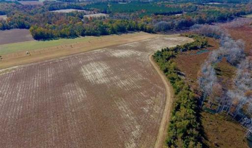 Photo of SOLD!!  271.34 Ac of Neuse Riverfront Farm & Timber Land For Sale in Craven Co NC!